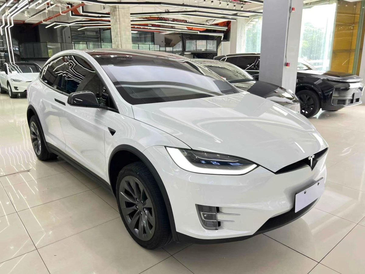 2020年3月特斯拉 Model X  2019款 長續(xù)航版