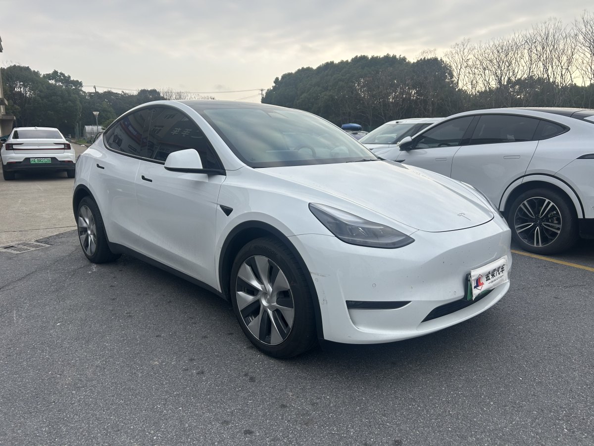 特斯拉 Model Y  2021款 長續(xù)航全輪驅(qū)動版 3D7圖片