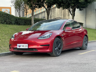 2020年6月 特斯拉 Model 3 標(biāo)準(zhǔn)續(xù)航后驅(qū)升級版圖片