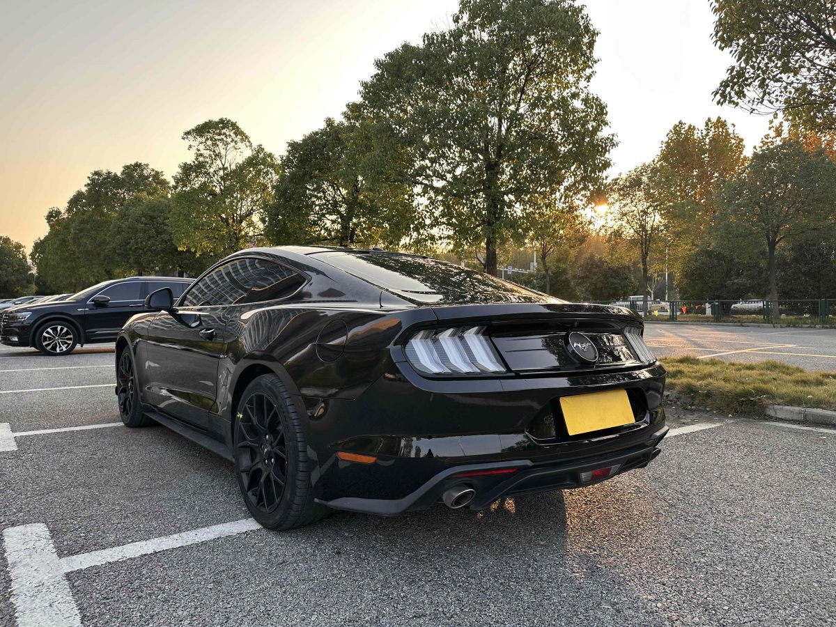 福特 Mustang  2019款 2.3L EcoBoost圖片