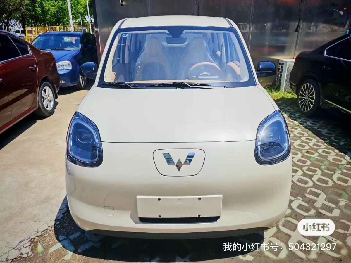 五菱 菱勢(shì)黃金小卡  2025款 倉(cāng)柵 頂配版圖片
