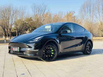 特斯拉 Model Y 長(zhǎng)續(xù)航全輪驅(qū)動(dòng)版 3D7圖片