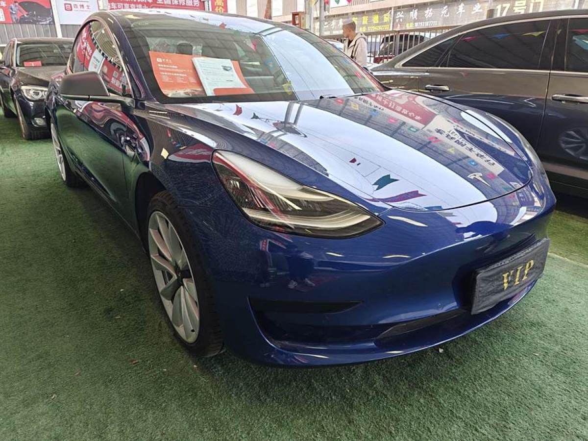 2020年3月特斯拉 Model 3  2019款 標準續(xù)航后驅升級版