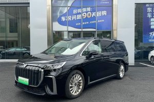 夢想家 嵐圖 EV 長續(xù)航尊貴版