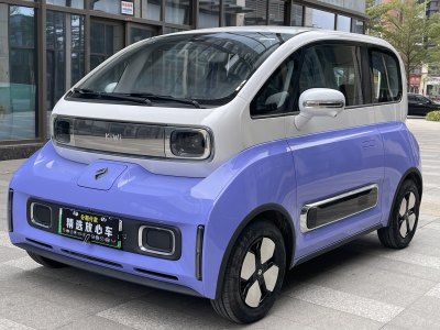 2024年10月 寶駿 寶駿KiWi EV 設(shè)計(jì)師輕享版 三元鋰圖片