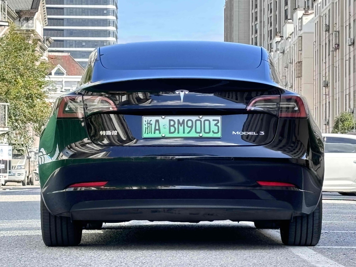 特斯拉 Model 3  2022款 改款 后輪驅(qū)動(dòng)版圖片