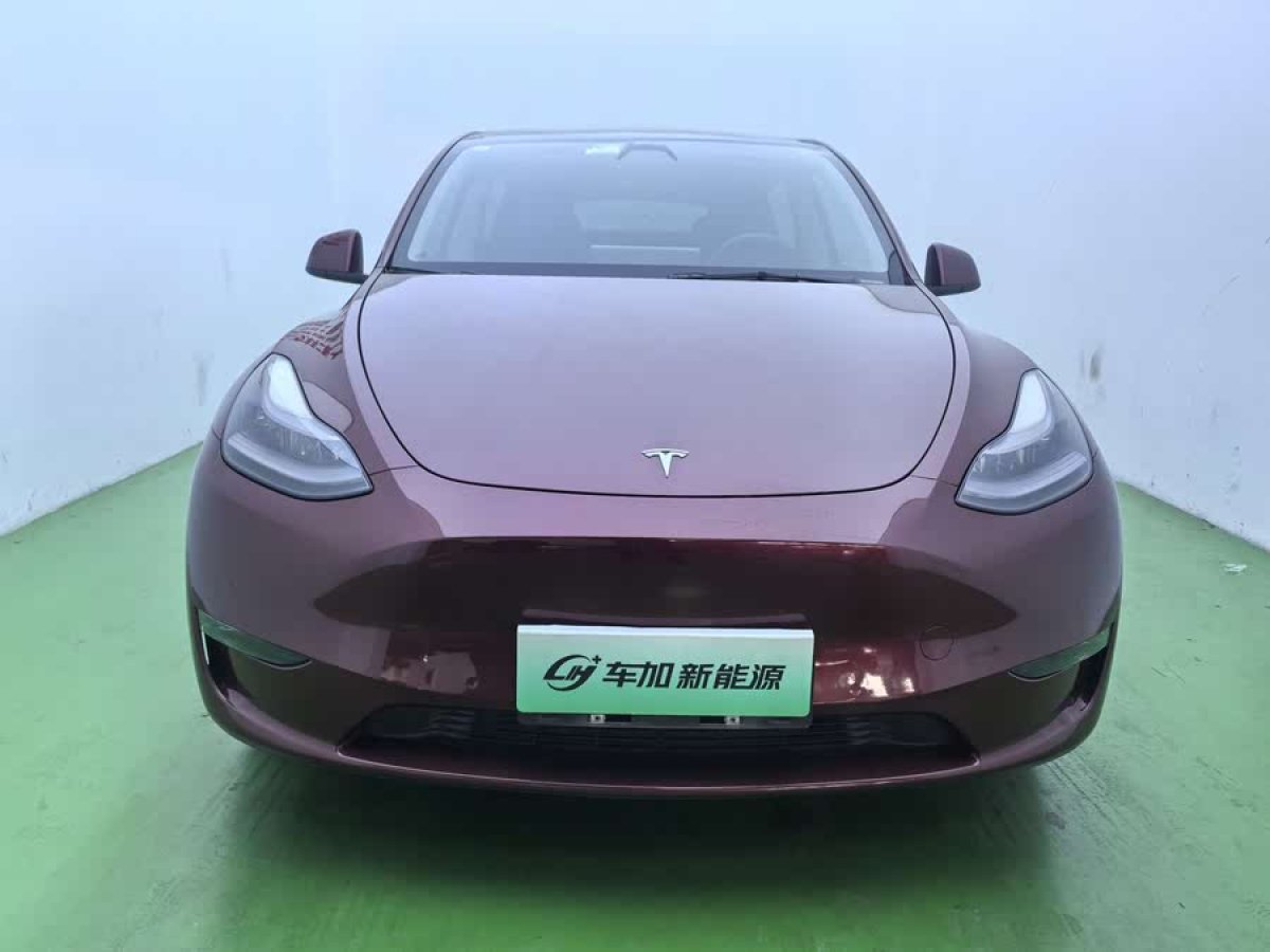 特斯拉 Model Y  2021款 標(biāo)準(zhǔn)續(xù)航后驅(qū)版圖片