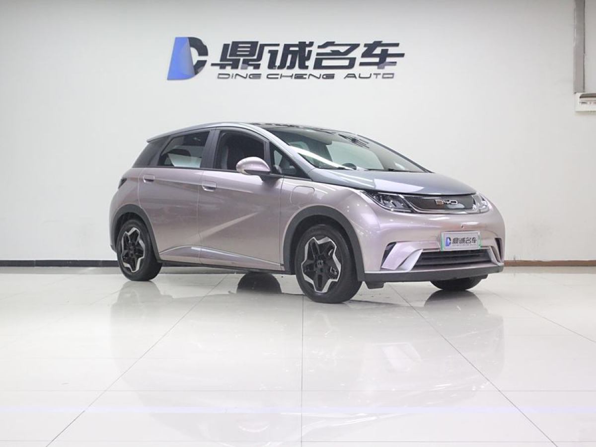 比亞迪 海豚  2021款 405km 時(shí)尚版圖片