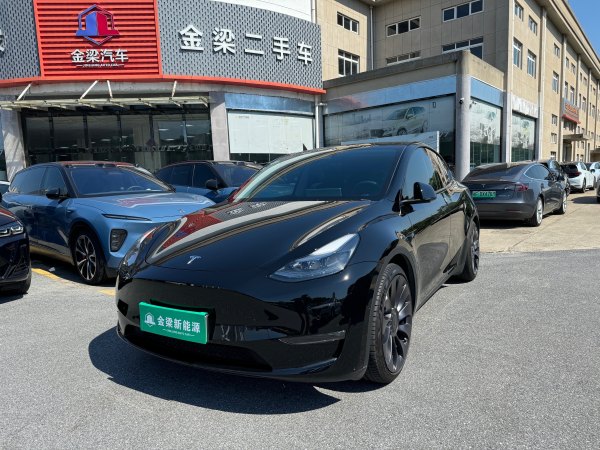 特斯拉 Model Y  2021款 改款 Performance高性能全轮驱动版