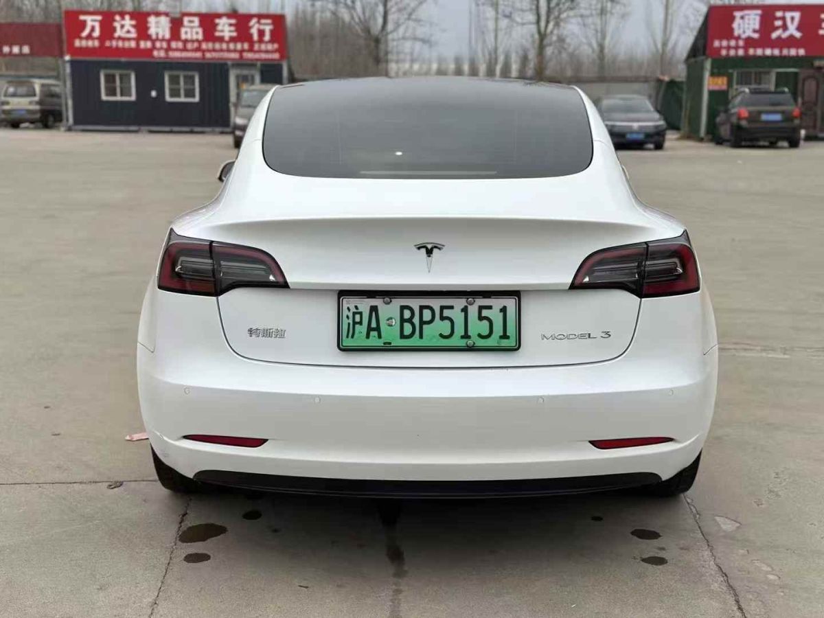 特斯拉 Model S  2023款 三電機(jī)全輪驅(qū)動(dòng) Plaid版圖片