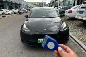 Model Y 特斯拉 Performance高性能全輪驅(qū)動(dòng)版