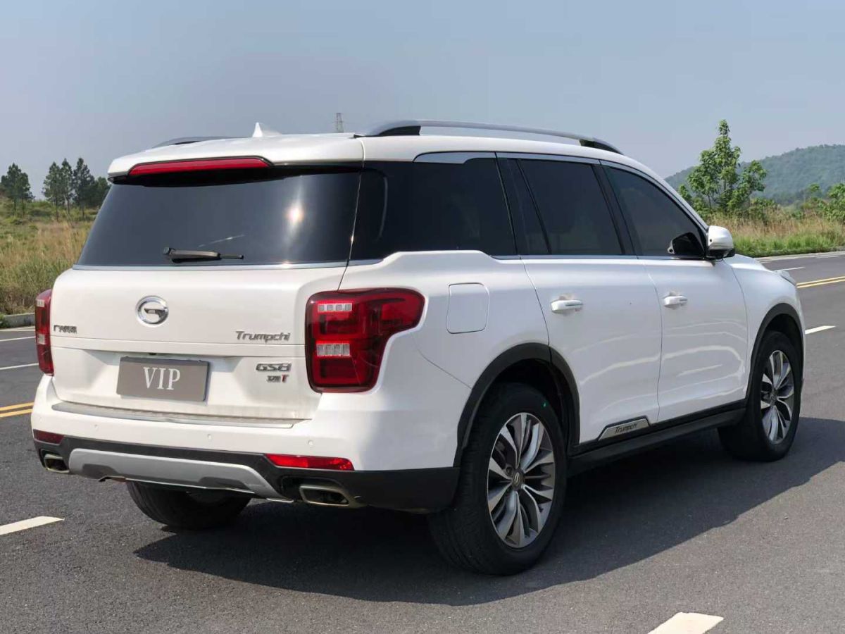 廣汽傳祺 GS8  2017款 320T 兩驅(qū)尊貴版圖片