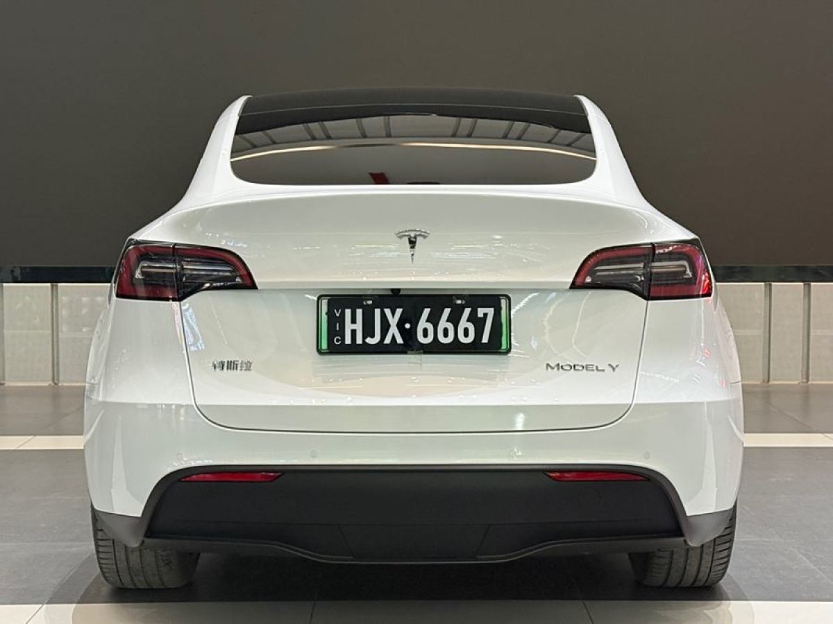 特斯拉 Model 3  2020款 改款 長續(xù)航后輪驅(qū)動版圖片