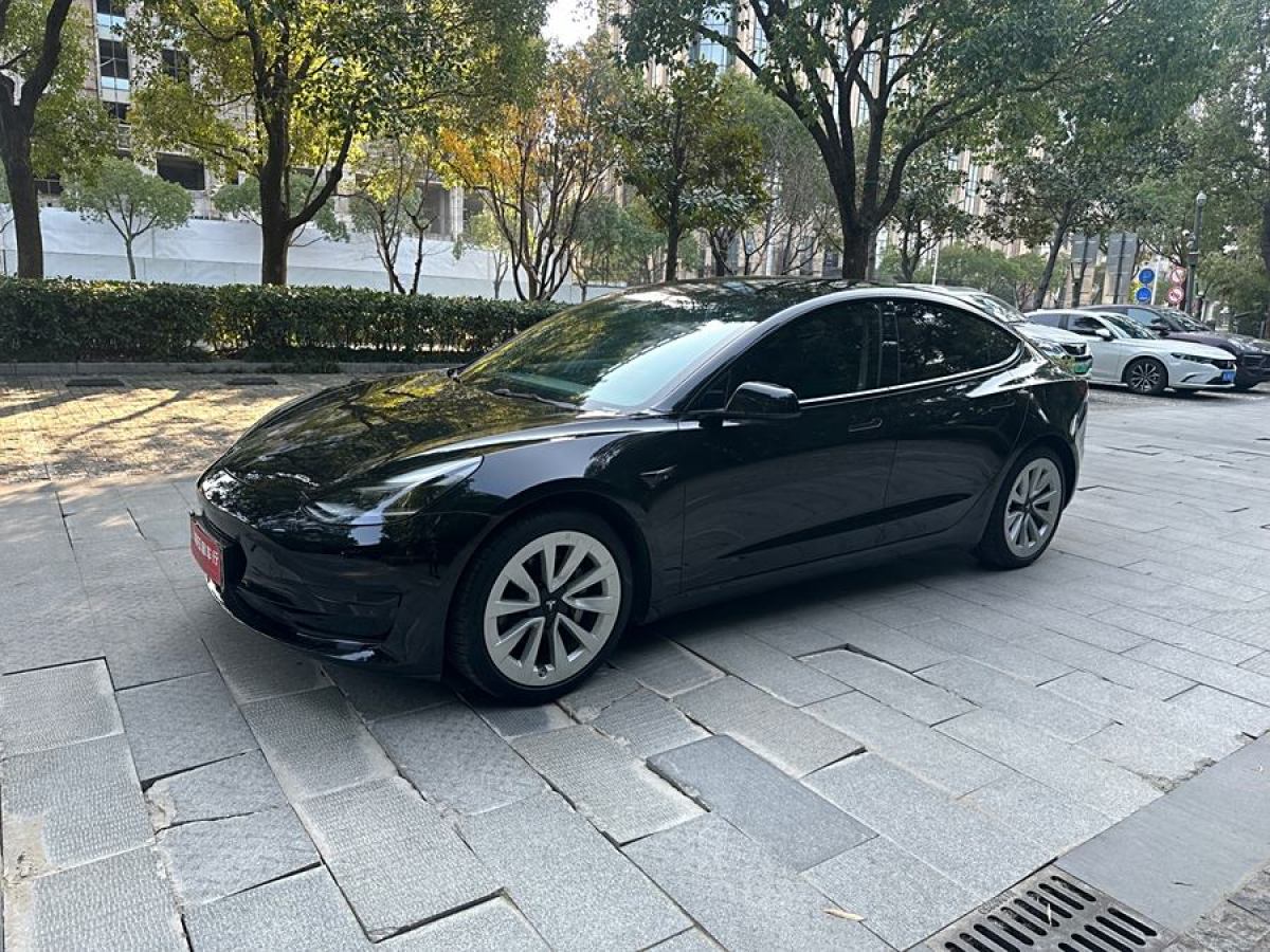 特斯拉 Model 3  2021款 標(biāo)準(zhǔn)續(xù)航后驅(qū)升級版 3D6圖片