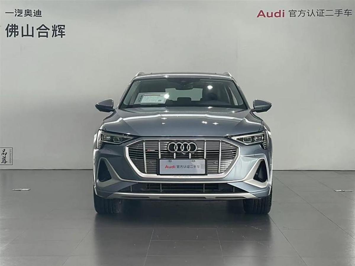 奧迪 奧迪e-tron  2021款 50 quattro 臻選型圖片