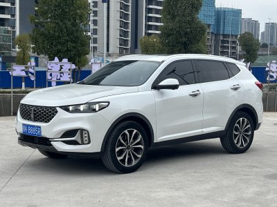 2020年9月 WEY VV6 2.0T 兩驅(qū)智享+圖片