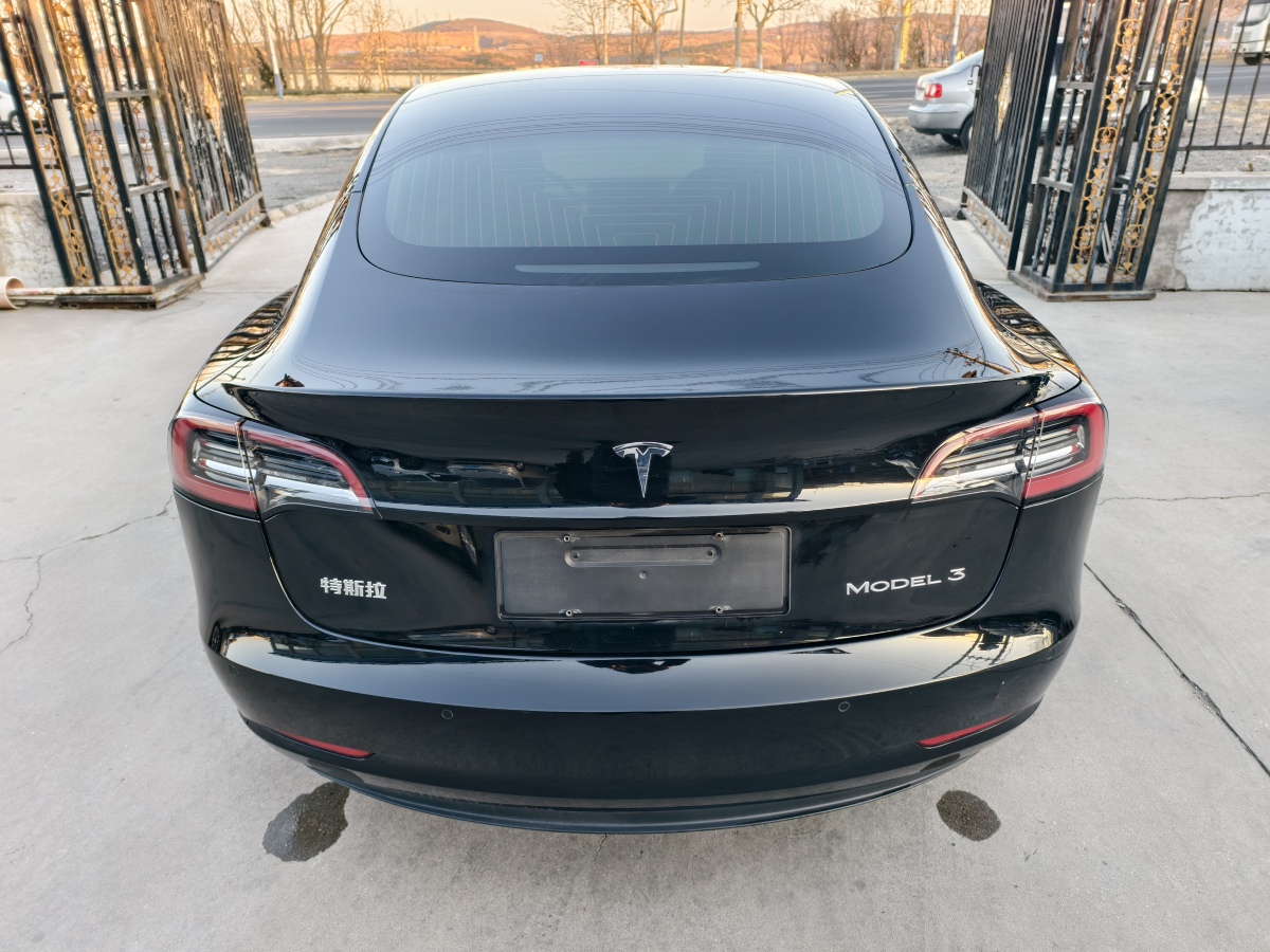 2020年3月特斯拉 Model 3  2020款 改款 標(biāo)準(zhǔn)續(xù)航后驅(qū)升級版