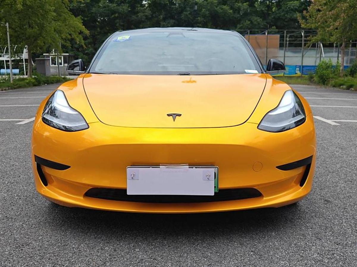 特斯拉 Model 3  2019款 標(biāo)準(zhǔn)續(xù)航后驅(qū)升級版圖片