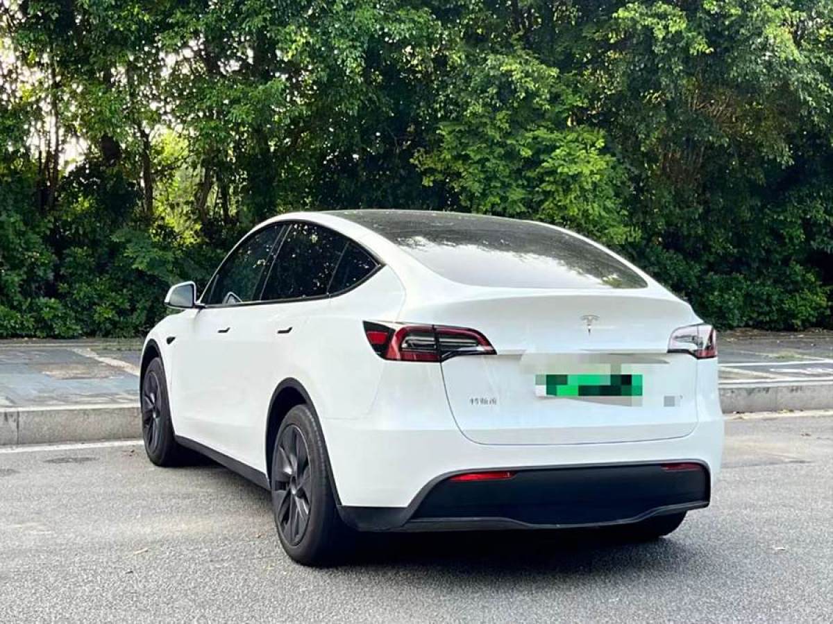 特斯拉 Model Y  2020款 改款 長(zhǎng)續(xù)航后輪驅(qū)動(dòng)版圖片