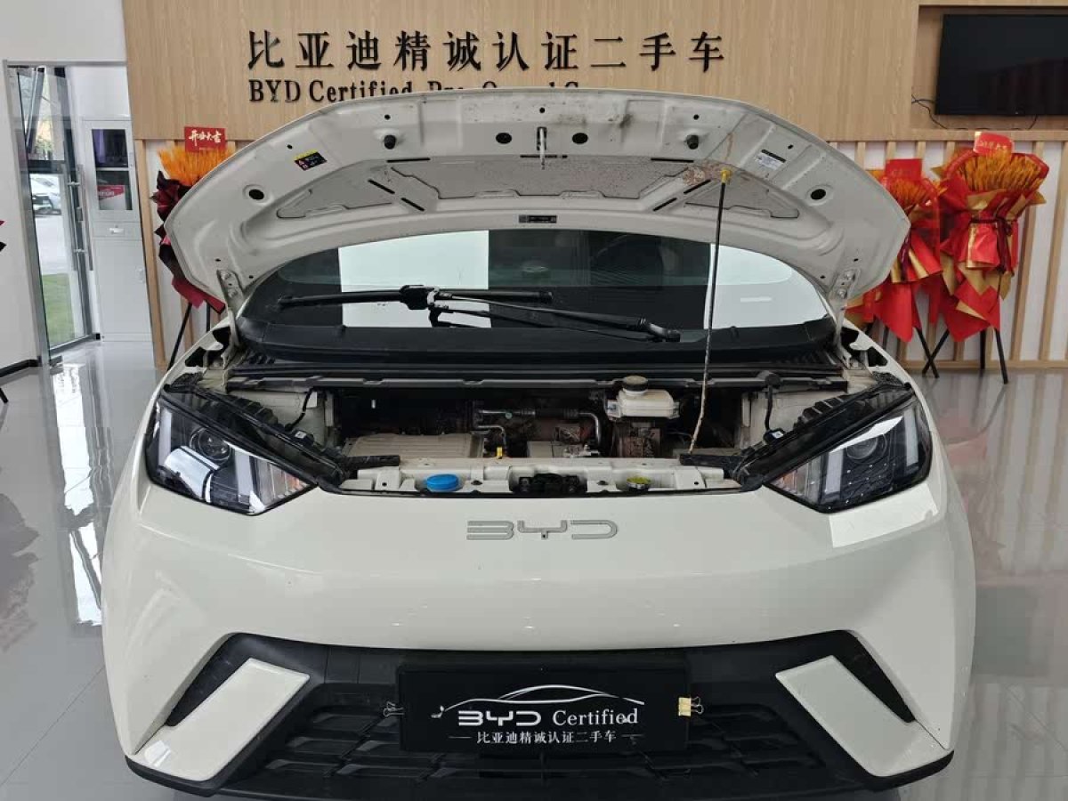 比亞迪 海鷗  2023款 活力版圖片
