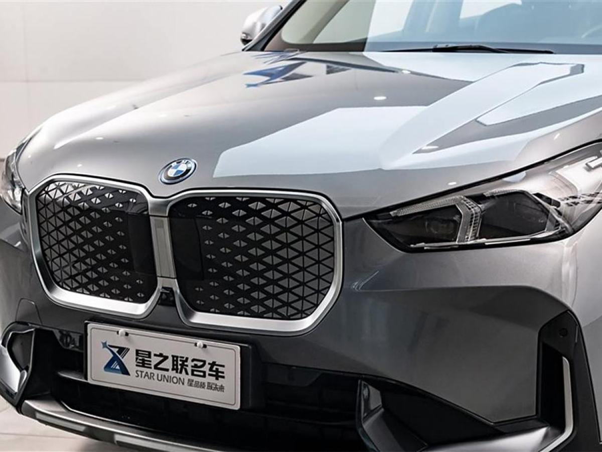 寶馬 寶馬iX1  2023款 xDrive30L X設計套裝圖片