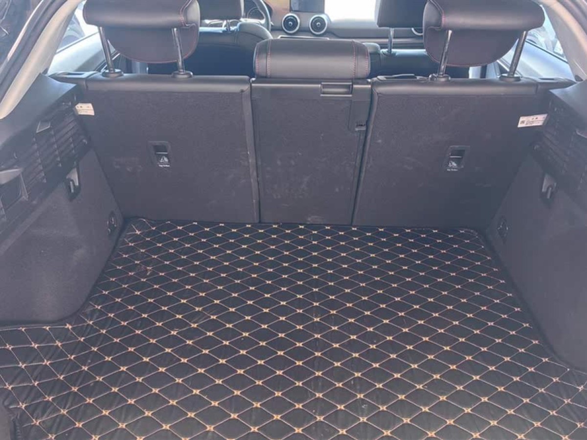 奧迪 奧迪Q2L  2024款 改款 35TFSI 進取動感型圖片