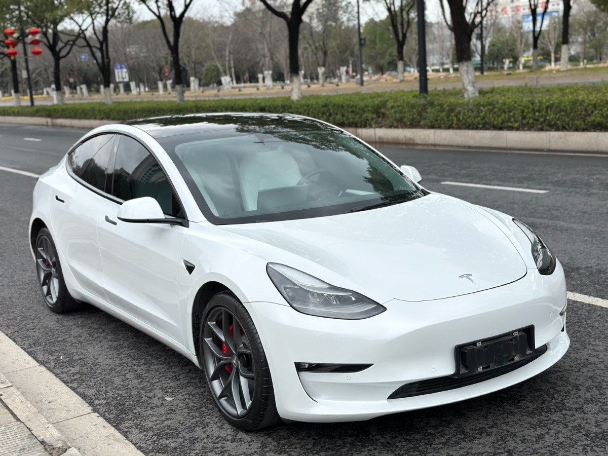 2021年7月特斯拉 Model 3  2021款 Performance高性能全輪驅(qū)動版