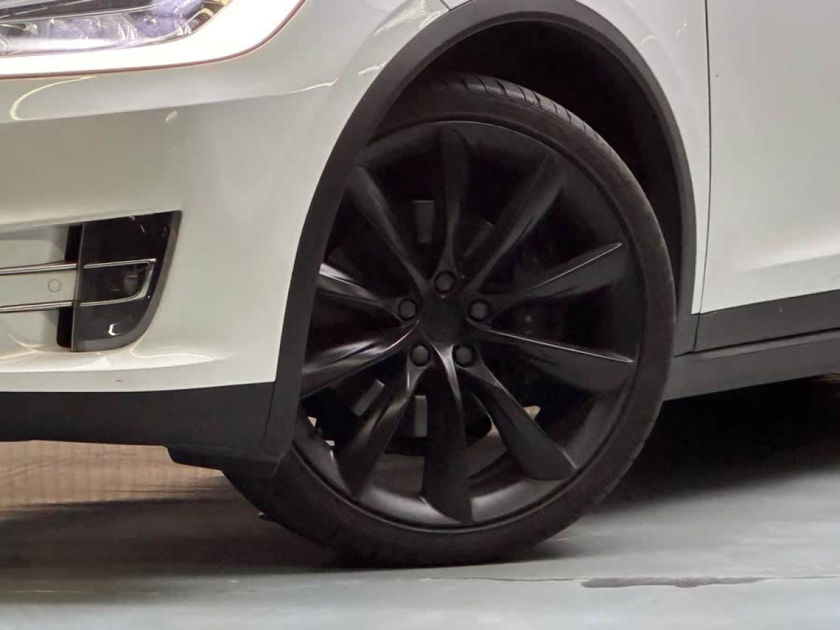 特斯拉 Model X  2019款 長續(xù)航版圖片