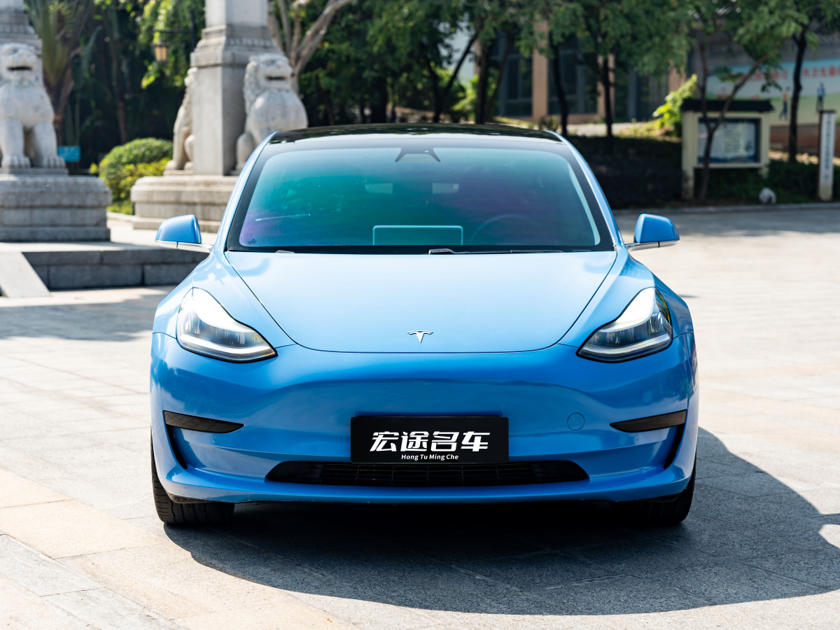 特斯拉 Model 3  2019款 標(biāo)準(zhǔn)續(xù)航后驅(qū)升級(jí)版圖片