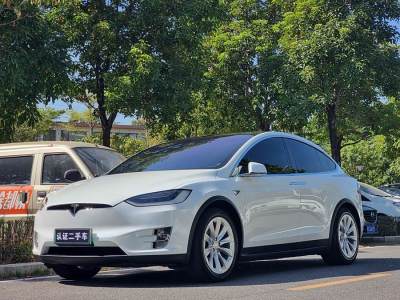 2018年5月 特斯拉 Model X Model X 90D圖片