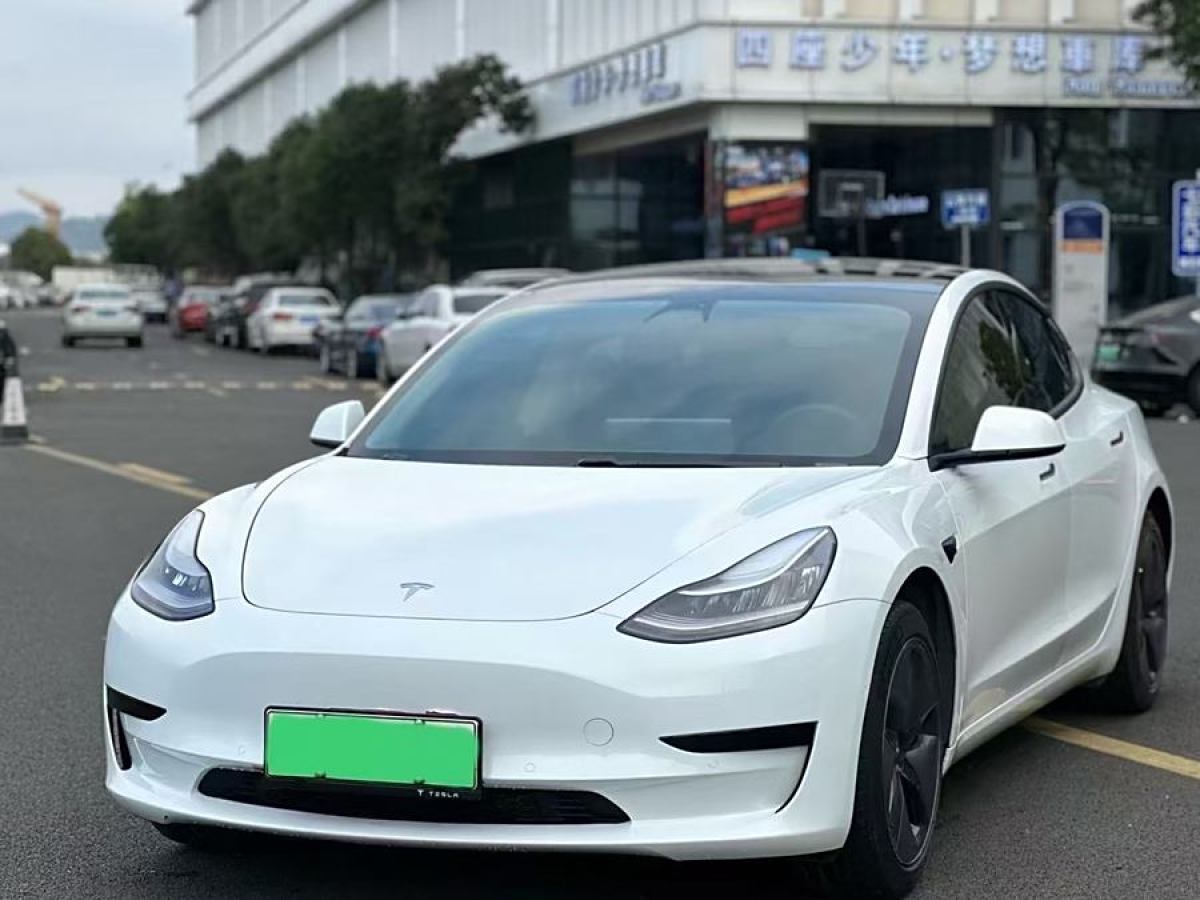 2020年3月特斯拉 Model 3  2019款 標準續(xù)航后驅升級版