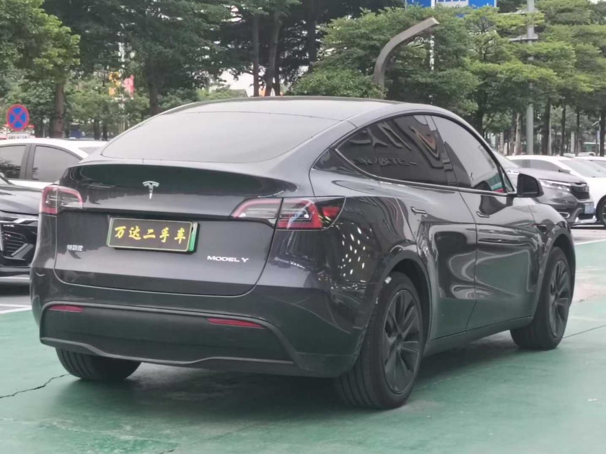 特斯拉 Model Y  2024款 Performance高性能版圖片