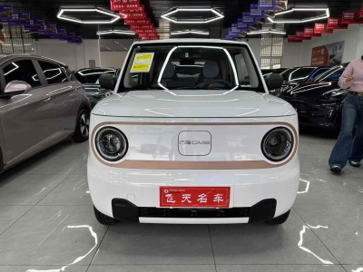 吉利 熊貓mini 熊貓mini 200km 耐力熊圖片