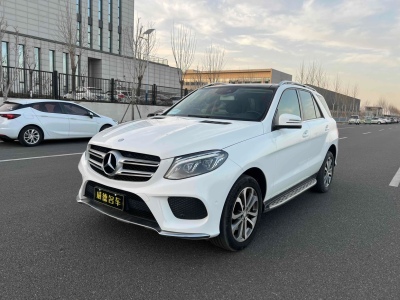 2017年03月 奔馳 奔馳GLE(進(jìn)口) GLE 320 4MATIC 豪華型圖片