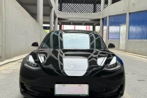 Model 3 特斯拉 標(biāo)準(zhǔn)續(xù)航后驅(qū)升級版