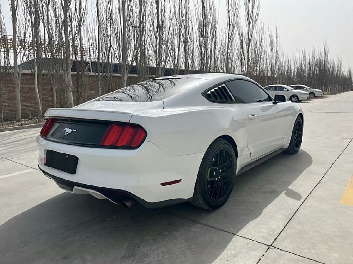 福特 Mustang  2016款 2.3T 性能版圖片