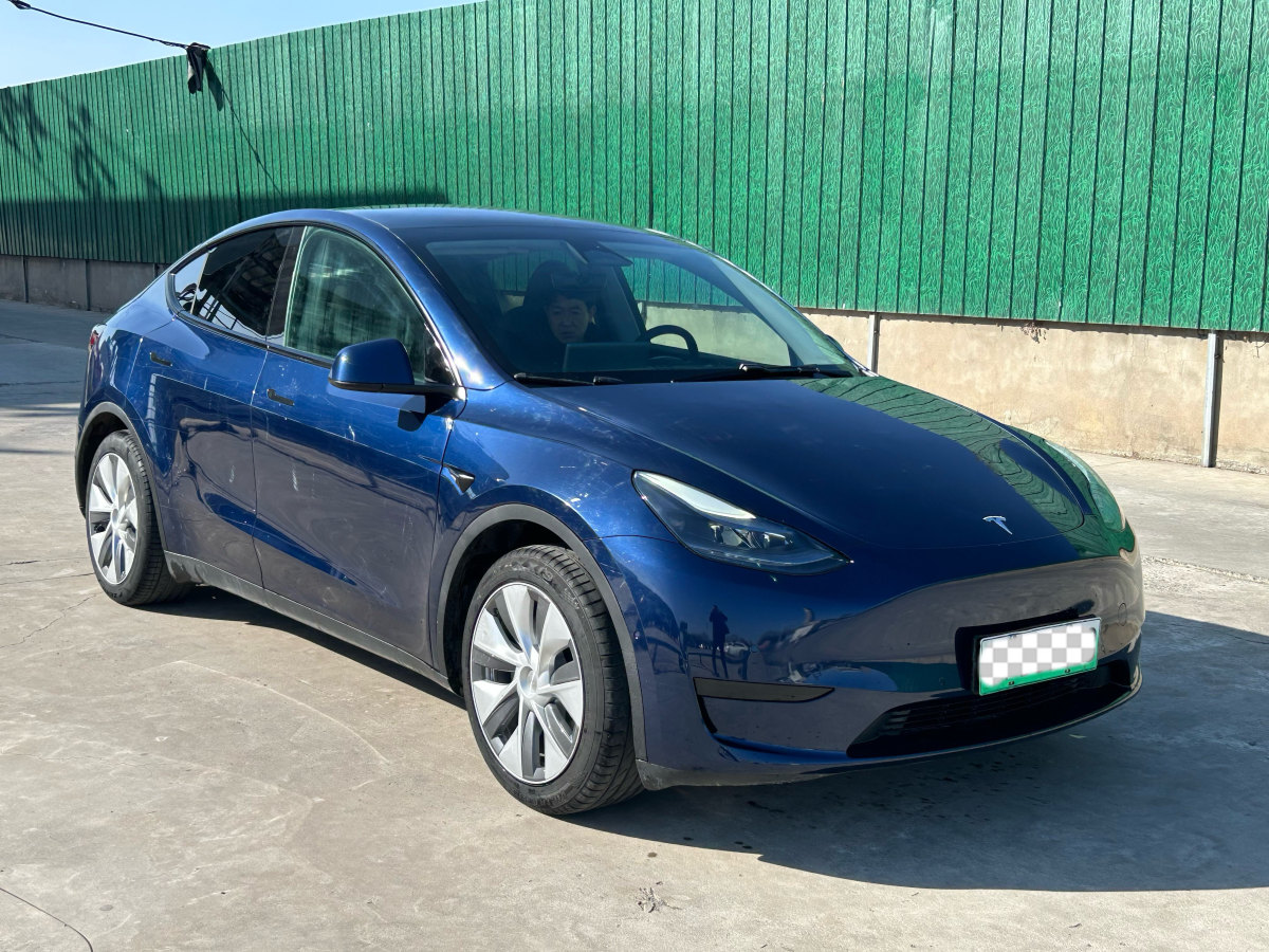 特斯拉 Model 3  2020款 改款 長續(xù)航后輪驅動版圖片