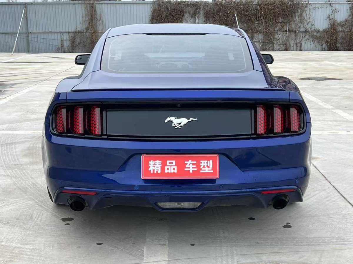 福特 Mustang  2017款 2.3T 性能版圖片