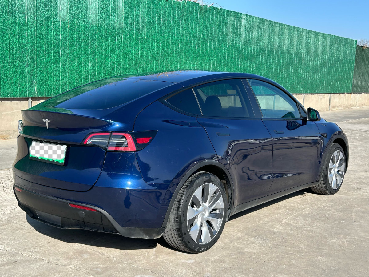 特斯拉 Model 3  2020款 改款 長續(xù)航后輪驅動版圖片