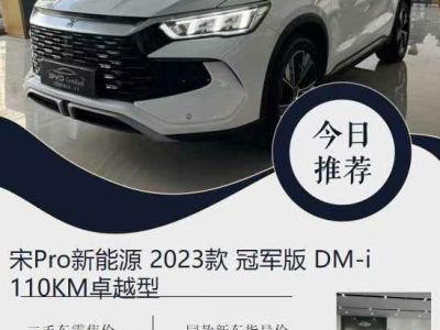 2024年6月 比亚迪 宋L 550km 卓越型图片