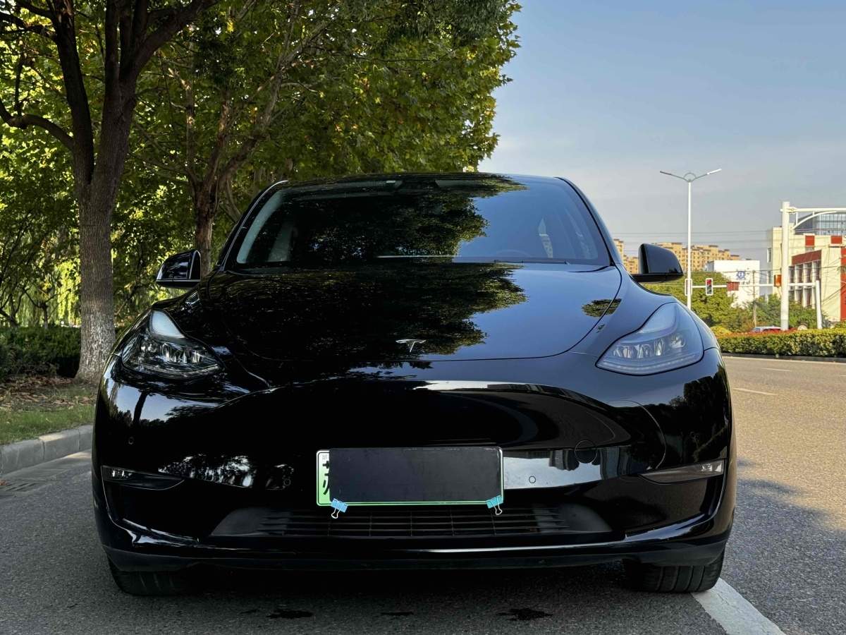 特斯拉 Model 3  2021款 改款 標準續(xù)航后驅(qū)升級版圖片