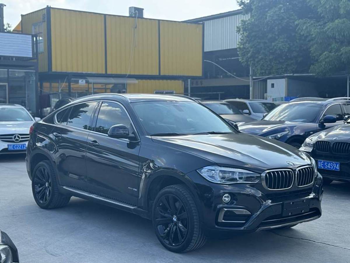 寶馬 寶馬X6  2018款 xDrive35i 領(lǐng)先型圖片