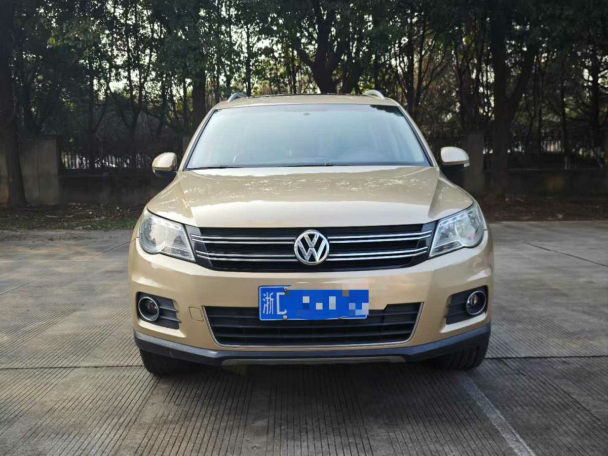 大眾 途歡  2012款 2.0 TDI 舒適版圖片