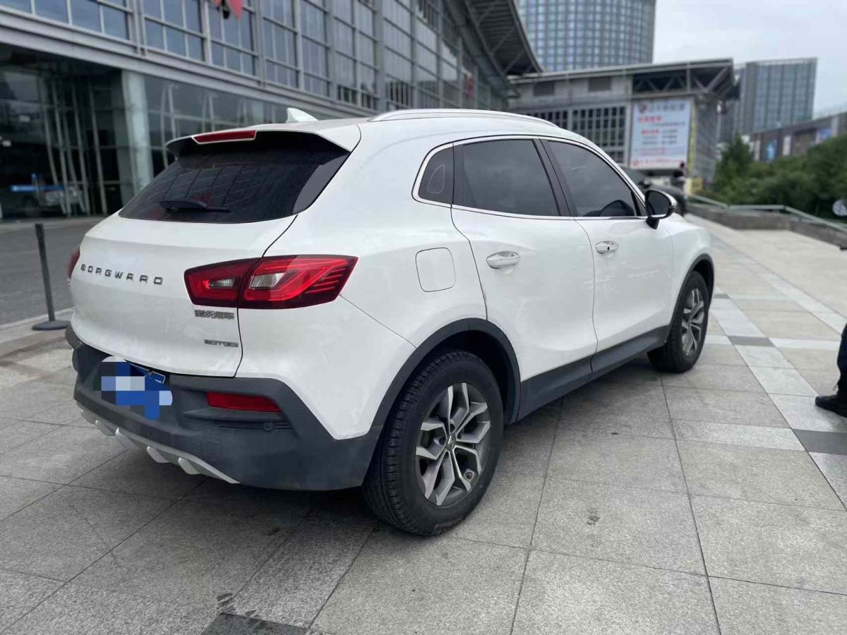 2020年1月寶沃 BX5  2020款  20TGDI 自動(dòng)兩驅(qū)新銳型