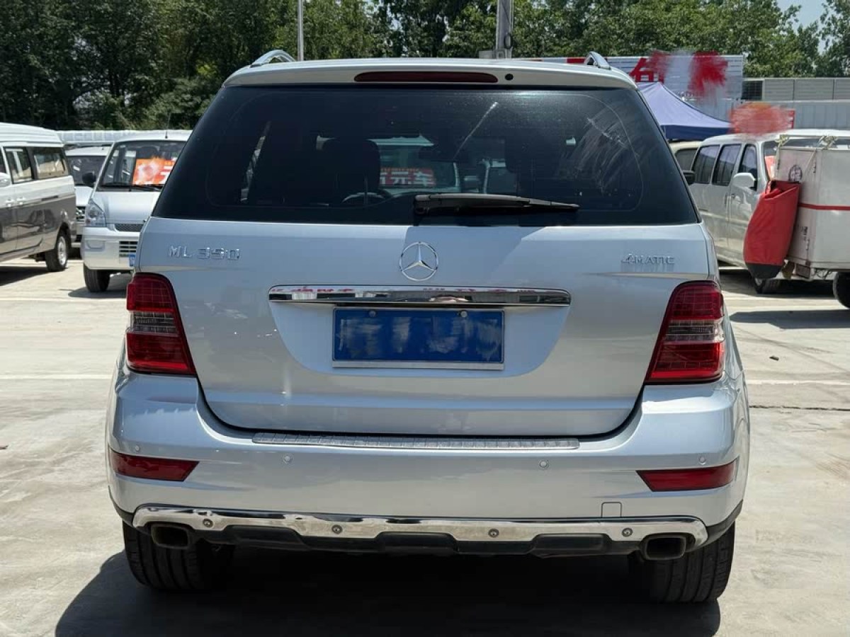 奔馳 奔馳M級(jí)  2010款 ML 350 4MATIC豪華型特別版圖片