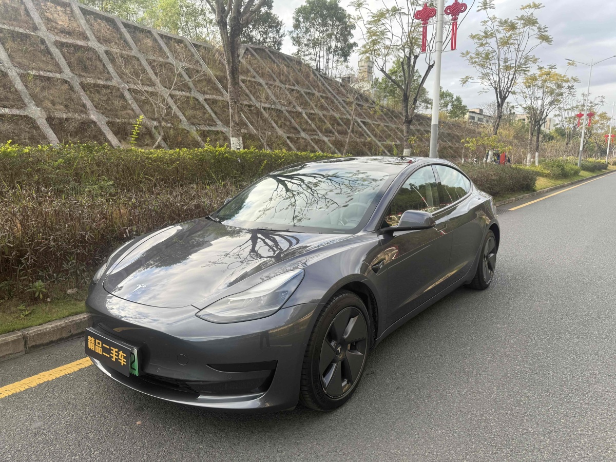 2021年4月特斯拉 Model 3  2021款 標(biāo)準(zhǔn)續(xù)航后驅(qū)升級(jí)版 3D6