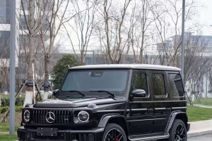 奔馳G級AMG 奔馳 AMG G 63
