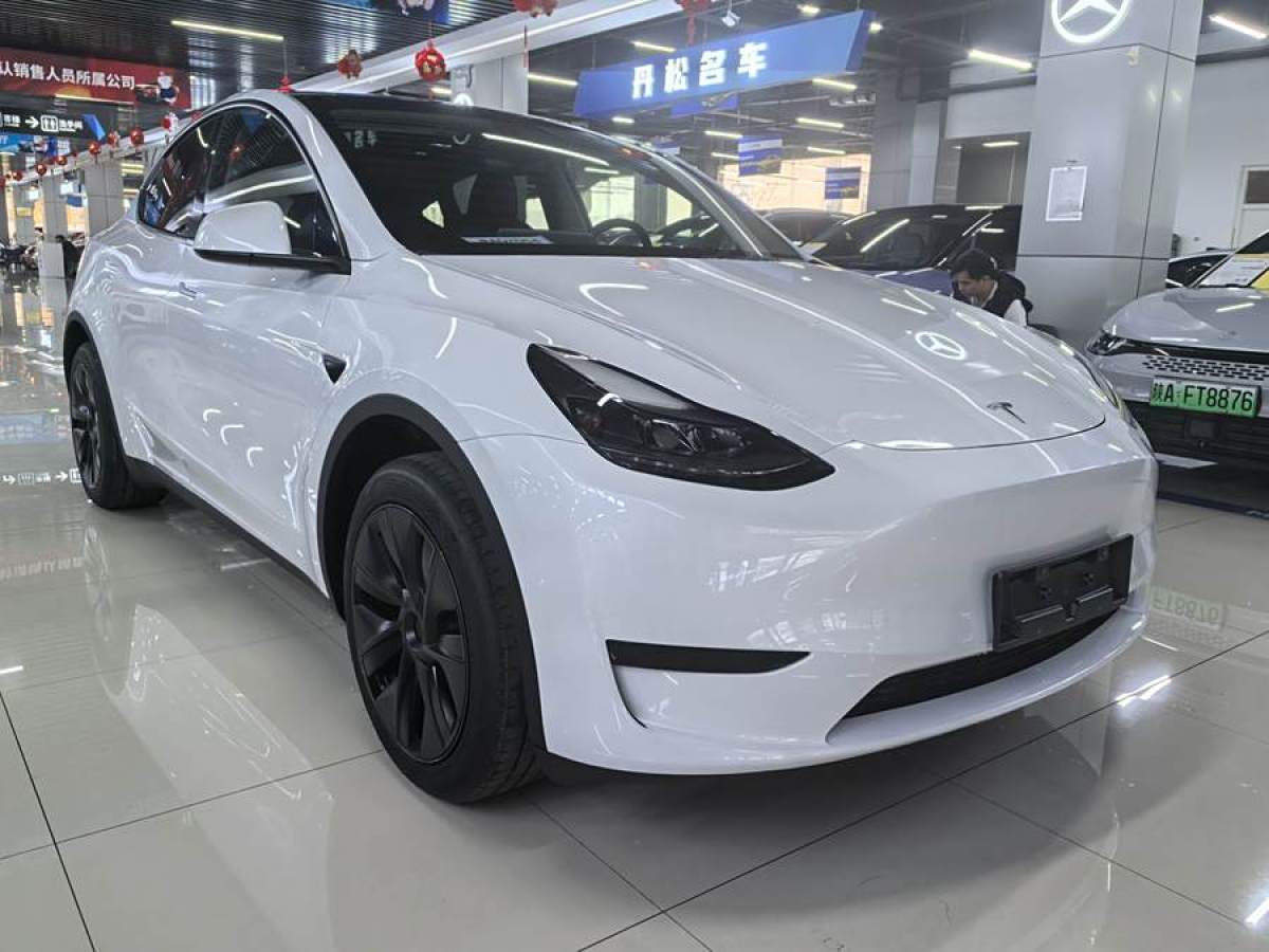 特斯拉 Model 3  2020款 改款 長續(xù)航后輪驅(qū)動版圖片