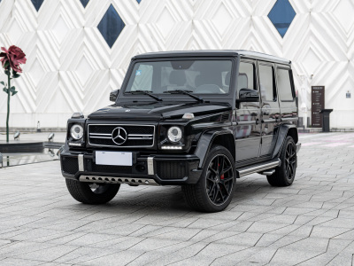 2019年1月 奔馳 奔馳G級(jí)AMG AMG G 63 Edition 463圖片