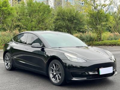 2022年2月 特斯拉 Model 3 改款 后輪驅(qū)動(dòng)版圖片